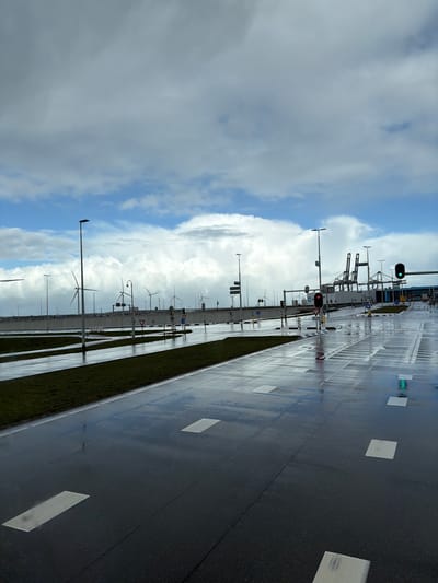The image depicts an exterior view of a modern industrial roadway in Maasvlakte, Rotterdam, Netherlands, on a wet, overcast day with patches of blue sky. The foreground features a dark asphalt road with reflective puddles and white rectangular lane markings. A central grassy median strip separates the road segments on the left. In the midground, multiple black lampposts, traffic signals (one showing green, another red, and a smaller green reflection on the wet road), and various road signs, including yield signs and regulatory signs, are present. Black and white striped bollards are visible near a road junction. In the background, numerous white wind turbines line the horizon. To the right, large container gantry cranes are visible, indicative of a port terminal, adjacent to a building with partial lettering "M" (possibly Maersk). A concrete barrier or elevated structure runs horizontally across the mid-to-background. No people or active vehicles are discernible.
