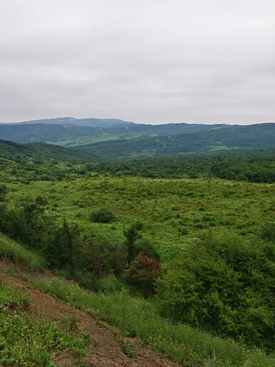 This image depicts a verdant, rolling landscape under an overcast sky. In the foreground, a dirt path slopes downwards, bordered by lush green grass dotted with small white wildflowers. Beyond the path, the terrain opens up to a vast expanse of dense green foliage, appearing to be a mix of grass and trees that cover undulating hills. In the distance, layers of further hills and mountains recede into the hazy horizon, with one distant mountain peak showing signs of erosion or a landslide. The overall impression is of a remote, natural environment. There are no people or man-made structures visible in the immediate vicinity, though a faint tower-like structure can be discerned on a distant hilltop in the upper right portion of the frame. The location is identified as Эникали, Russia.