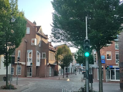 The image depicts a street scene in the city of Oldenburg in Holstein, Germany. A cobblestone road curves to the left, bordered by brick buildings on both sides. Lush green trees line the street, their foliage partially obscuring the buildings and sky. A traffic light, showing a green signal, is prominently positioned in the foreground, mounted on a metal pole. Other traffic signs and streetlights are also visible. The buildings feature various architectural details, including dormer windows and prominent window frames. A few shops with awnings are situated at street level. The sky is clear and bright, suggesting it is daytime. There are no people visible in the frame, but the scene suggests a quiet urban environment.