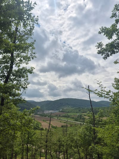 The image shows a landscape view through trees, likely taken from a slightly elevated position in the vicinity of Kralevo, Bulgaria. In the background, a mountain range rises, and a valley stretches out with agricultural fields and possibly a road. The sky is filled with clouds. The foreground is framed by tree branches and leaves. There are no visible people or specific actions taking place.