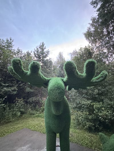 The image shows a green, artificial topiary shaped like a moose. The moose is positioned in an outdoor setting with trees and grass surrounding it. The sky is overcast. The ground in front of the moose appears to be a paved or rubberized surface. The topiary is the main subject, with its large antlers prominently displayed.