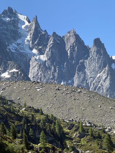 This is a photograph of a mountain landscape in the vicinity of Chamonix-Mont-Blanc, France. The image features jagged, rocky mountain peaks dominating the upper portion, with patches of snow and ice clinging to the higher elevations. The lower slopes are covered in scree and scattered rocks, transitioning into a verdant, forested area with numerous evergreen trees. The sky is clear and blue. There are no people or animals visible in the frame. The scene depicts a natural, mountainous environment.