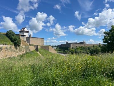The image shows a view of Narva Castle in Narva, Estonia, on a sunny day with scattered clouds. The castle is a large medieval fortress made of stone, with prominent towers and walls. In the foreground, there is a lush green field filled with tall grass and small yellow wildflowers. A pathway is visible leading up to the castle entrance. The sky is a vibrant blue with fluffy white clouds. The castle's imposing structure is set against the natural landscape and the bright sky.