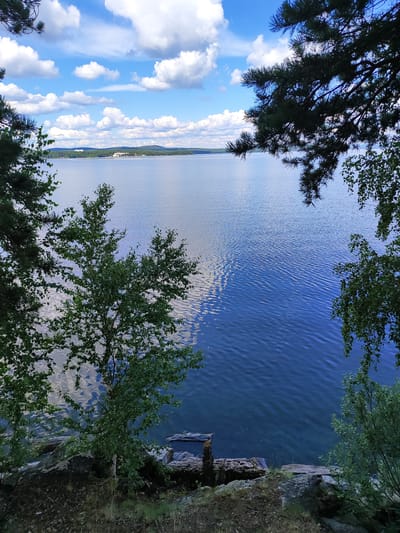 A tranquil, wide body of water, likely a lake, dominates the scene under a bright blue sky filled with fluffy white clouds. The water's surface is rippled, reflecting the sky and creating a shimmering effect. In the distance, along the far shore, a cluster of buildings, some appearing to be white, stand out against a backdrop of dark green trees. The foreground is characterized by a rocky, uneven shoreline with scattered patches of grass and dirt. Several trees, including pine and deciduous varieties, frame the view, their branches and leaves reaching into the frame from the left, top, and right. The overall impression is of a natural, scenic landscape. The image is likely taken in the city of Snezhinsk, Russia, known for its surrounding natural beauty and large bodies of water.