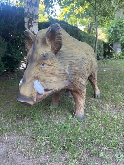 A life-sized wild boar statue stands on a grassy lawn in what appears to be a garden or park. The statue is brown and textured, mimicking the appearance of a real wild boar with visible tusks. The background consists of lush green bushes, trees, and a birch tree. The lighting suggests it is daytime, with sunlight filtering through the leaves. There is no indication of the city of Dubăsari town council, Moldova in the image.