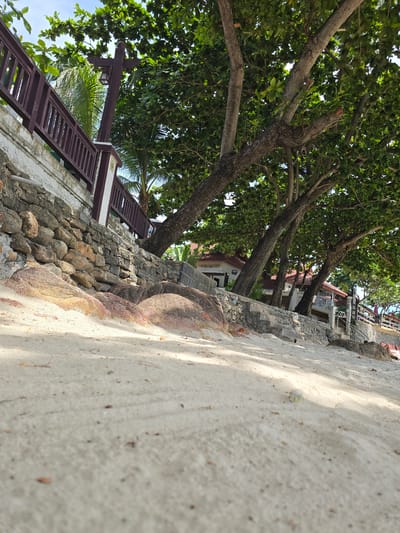 The image depicts an outdoor scene with a strong diagonal perspective, suggesting a low camera angle. The foreground is dominated by a sandy or concrete surface, catching sunlight and creating shadows. Adjacent to this is a textured stone wall, transitioning into what appears to be part of a building's foundation or landscaping.
Behind the wall, several large trees with lush green foliage are prominent, their branches reaching towards the sky. The trees are old and substantial, with rough bark. In the background, parts of buildings with reddish-brown roofs are visible, suggesting a residential or resort-like setting. A dark brown wooden railing or fence runs along a section of the structure, and a palm tree is visible to the left.
The overall scene suggests a warm, possibly tropical environment, given the vegetation. The lighting indicates it is daytime, likely late morning or afternoon, with the sun casting distinct shadows. There are no people or animals clearly visible in the image. The focus appears to be on the natural elements of the trees and stones, contrasted with the man-made structures. The image conveys a sense of a peaceful, possibly vacation-like atmosphere. No text is visible in the image.