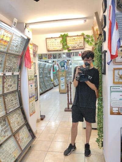 A person with glasses stands in a museum or exhibition space, holding a professional video camera. Behind them is a long hallway filled with display cases exhibiting various insects, predominantly butterflies. Adjacent to the person are framed butterfly specimens. The decor includes wall-mounted pictures, greenery, and a flag of Costa Rica. The person is wearing a dark t-shirt, shorts, and athletic shoes. The lighting is bright, creating a well-lit interior.