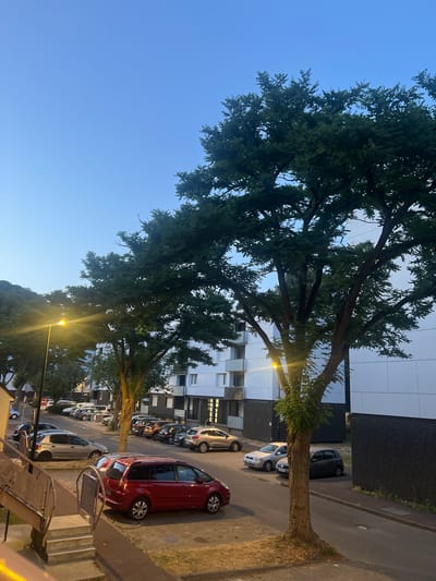 This is a medium shot, captured at dusk, of a residential street in Maromme, France. The scene is dominated by several large trees with full canopies, casting shadows on a paved street and sidewalk. In the background, a multi-story apartment building with white and dark facades stands. Several cars are parked along the street, including a red minivan, a silver hatchback, and a dark grey hatchback. A street lamp with a bright yellow light is visible, illuminating part of the foreground. To the left, a concrete staircase with metal railings leads down towards the street. The sky is a clear, pale blue, indicating the end of the day.