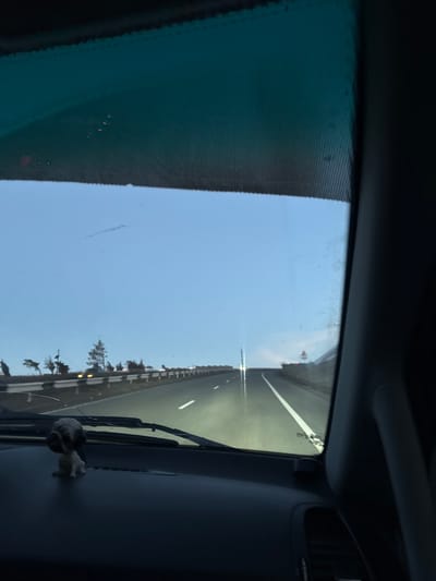 The view from inside a car shows a highway stretching ahead under a blue sky. The road is marked with white lines. A green-tinted portion of the windshield is visible on the left. On the dashboard to the right, a small dog-like figure hangs. The road extends into the distance, bordered by what appears to be trees and a safety barrier. The sky is clear and lightly colored.