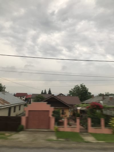 The image depicts a residential street scene in Nicolae Bălcescu, Romania, captured under a densely overcast, gray sky that covers the upper two-thirds of the frame. Multiple dark, horizontal power lines stretch across the mid-upper section. In the midground, several houses with gabled roofs are visible; these roofs vary in color from light gray corrugated metal on the left, to reddish-brown tiles, and dark brown tiles. A prominent peach-pink colored structure with a large, matching garage door stands in the central foreground, featuring decorative architectural elements at its top. To the left of this structure is a dark brown solid fence, while to its right, a lower peach-pink fence with multiple posts and a central pedestrian gate extends. Green foliage from trees and shrubs is scattered throughout the scene, with a cluster of distinct conifer trees visible in the mid-background. Vibrant red flowering plants are present near a house on the far right. The foreground reveals a damp, dark gray ground surface, likely a road or driveway, interspersed with patches of green grass. The overall image displays a slight motion blur, indicative of capture from a moving perspective. No people are present.