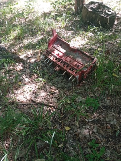 The image depicts a disassembled red engine block lying on the ground in a wooded area. The engine block appears old and weathered, with rust and dirt visible. It is surrounded by grass, fallen leaves, and branches, suggesting an outdoor, natural setting. In the background, a large tree stump with some metal objects attached is visible, possibly indicating a former industrial site or a place where old machinery has been discarded. The sunlight filtering through the trees creates dappled patterns on the ground, suggesting it is daytime. There are no people or any active events taking place. The overall impression is one of abandonment and decay in a natural environment. The location is identified as Capriana, Moldova.