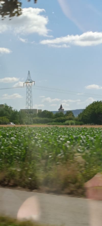 The image captures a rural scene in the vicinity of Fellbach, Germany, under a bright, partly cloudy sky. In the foreground, a blurry expanse of a green field, likely corn, stretches across the lower half of the frame, with hints of a dirt road or path at the very bottom. In the mid-ground, a tall, lattice-like electricity pylon dominates the left side, with power lines extending horizontally. To the right of the pylon, a cluster of green trees forms a dense line, punctuated by a distant, light-colored building. Further to the right, a circular tower with a red, conical roof, resembling a small castle turret, is visible atop a gentle hill. The background consists of rolling hills and the vast blue sky with scattered white clouds. A white vehicle is barely discernible on the left side of the image, driving on a road in front of the field. The overall impression is one of a countryside landscape with functional infrastructure and a touch of historical architecture.