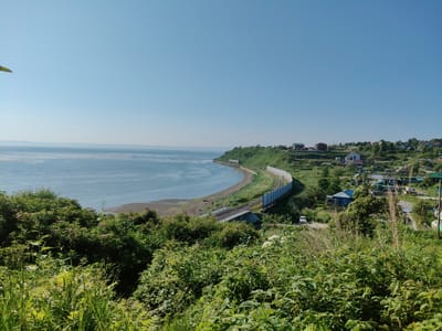 The image depicts a scenic coastal landscape in the city of Tret’ya Pad’, Russia, under a clear, bright blue sky. In the foreground, lush green vegetation, including dense bushes and tall grasses, dominates the view, with some scattered pink flowers. A portion of a leaf is visible in the top left corner.
Beyond the foliage, the coastline curves along a tranquil body of water, likely a sea or large lake. The water is a deep blue and appears calm, with a sandy or pebbly shoreline.
Following the curve of the coast, a railway track runs parallel to the water. A bridge spans over the tracks in the mid-ground, and a white fence lines the railway for a significant distance.
Further inland, a small village is nestled on a green hillside. Numerous houses with colorful roofs are visible, interspersed with trees and smaller structures. A white vehicle is parked on a dirt road. The overall impression is one of a peaceful, rural coastal community.
