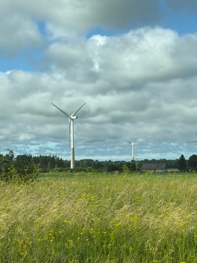 This media file captures a rural landscape in Koogu, Estonia, on a cloudy day. The primary subjects are two wind turbines, one in the foreground and another in the distance, silhouetted against a dramatic sky filled with large, white clouds interspersed with patches of blue. The foreground is dominated by a field of tall, green grass, dotted with small yellow flowers, suggesting a summer or late spring setting. Behind the field and turbines, a line of trees marks the horizon, with a glimpse of a rustic building with a dark roof in the middle distance. The overall mood is one of natural beauty and renewable energy in a tranquil environment. The image is oriented vertically, creating a sense of height and expanse. There is no visible text.