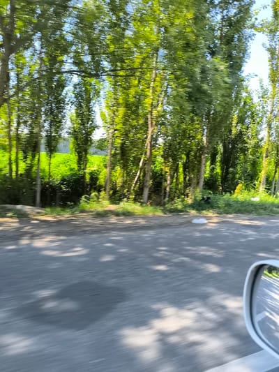 The image captures a roadside view with trees and a field in the background. The scene appears to be moving, indicated by the motion blur, suggesting it was taken from a vehicle. In the foreground, there is a paved surface with dappled shadows of leaves. To the left, a white circular object is visible on the ground near the edge of the road. Beyond the trees, a lush green field stretches into the distance under a bright sky. A white side-view mirror is partially visible on the right side of the frame, reflecting the surrounding environment. The overall impression is a snapshot of a rural or semi-rural landscape in motion.