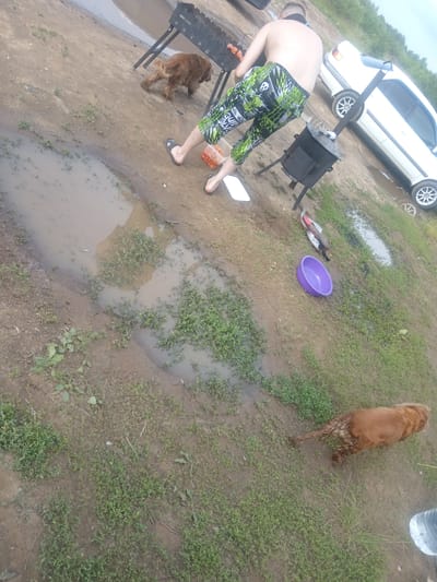 An outdoor, slightly elevated, wide shot depicts an informal gathering near a white sedan in what appears to be a rural setting in Vasil'evka, Russia. The ground is a mixture of mud, puddles, and sparse green vegetation. In the foreground, a man with short dark hair is visible from the waist down, wearing green and black patterned capri pants and black sandals. He is standing next to a black barbecue grill with a charcoal brazier underneath. A large, brown dog with curly fur walks away from the grill towards the left of the frame. Further to the right, a purple bowl sits on the ground. In the background, the white sedan is parked. The overall scene suggests a casual outdoor activity, possibly a picnic or barbecue.