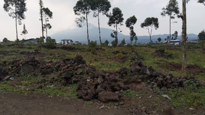 A rural landscape with a dirt road in the foreground. Dark, porous rocks pile up along the road's edge. Beyond, an overgrown field leads to scattered buildings under tall, thin trees. A hazy mountain rises in the distance. The sky is overcast, casting a muted light on the scene.