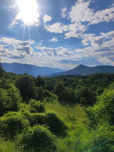 This is a vertical, wide-angle photograph of a sun-drenched landscape with rolling green hills and mountains in the distance, under a bright blue sky filled with puffy white clouds. The sun is high in the upper left corner, with visible sunbeams piercing through the clouds. The foreground is dominated by lush, dense green foliage and trees. A gently sloping, sunlit meadow with tall grass is visible in the mid-ground. Beyond the immediate greenery, layers of forested hills recede towards a range of distant, hazy blue mountains. The scene suggests a natural, undeveloped environment, likely in a rural or mountainous area. It is possible this landscape is located in the Egnatia Municipal Unit of Greece, given the context provided, which is known for its mountainous terrain and natural beauty. There are no people, animals, or man-made structures clearly visible in the image.