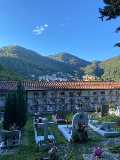The image displays a cemetery scene in La Spezia, Italy, under a clear blue sky with minimal cirrus clouds. The foreground consists of a grassy area populated with numerous grave plots. These plots feature various styles of marble headstones and memorial markers, including upright, flat, and cross-shaped designs. Many graves are adorned with both fresh and artificial flowers in various colors, and some exhibit small framed photographs of deceased individuals. A tall, slender coniferous tree stands prominently on the left side of the foreground, while dark green tree branches with cones are partially visible in the upper right corner.
In the midground, a long, multi-tiered concrete wall structure, identified as a columbarium or ossuary, extends horizontally. This structure contains numerous recessed niches, each serving as a memorial and holding arrangements of flowers, candles, and framed photographs. The columbarium is topped by a terracotta-tiled roof and fronted by a dark metal fence or railing.
The background reveals a landscape of densely forested mountains. On the lower slopes of these mountains, a residential area of La Spezia is visible, characterized by a cluster of buildings with varying roof colors. A prominent antenna tower is situated atop the highest visible mountain peak in the distance. The scene is illuminated by natural sunlight, indicating either morning or late afternoon. No individuals are present or actively interacting within the visible scene.