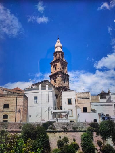 The image captures a view of a historic church tower and adjacent buildings under a bright blue sky with scattered clouds. The church tower, made of brick, features multiple levels with arched windows and ornate architectural details. The buildings in the foreground are a mix of light-colored plaster and stone, with windows of various sizes. Lush green vegetation grows along a stone wall in the lower part of the frame, creating a natural barrier between the buildings and the foreground. The scene is bathed in sunlight, casting shadows and highlighting the textures of the architecture and vegetation. The image does not show any people or specific actions. There is no identifiable information within the image suggesting the location is Zrenjanin, Serbia.
