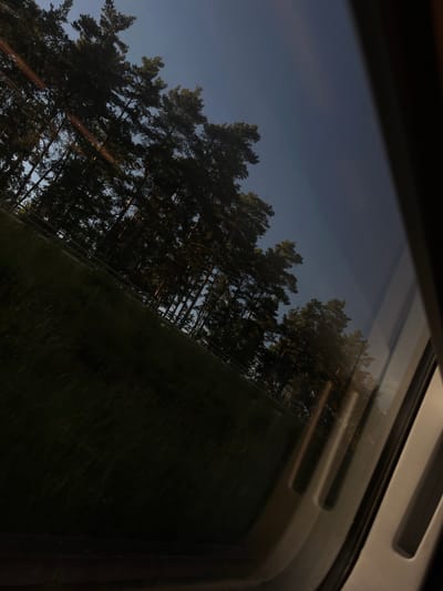 The image shows a view from a window, likely from a moving vehicle, looking out at a line of trees and a grassy field. The scene is angled, suggesting the camera is tilted. The sky is a dark blue, indicative of either early morning or late evening. There are reflections on the window, showing some interior elements and streaks of light. In the foreground, the window frame and some of its internal structure are visible. There are no people or animals in the frame. The location is not specified within Wittenberg, Germany, but the scene depicts a natural or semi-natural environment adjacent to what could be a transport route.