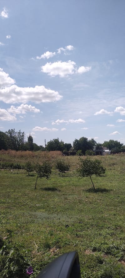 The image depicts a rural landscape under a partly cloudy sky. In the foreground, a patch of green grass and some foliage is visible, with a dark, curved object, possibly part of a camera or other equipment, at the bottom edge. Beyond this, a grassy field stretches out, dotted with several small, young trees. In the mid-ground, a line of mature trees and some buildings, likely houses and outbuildings, are visible. The background consists of more trees and structures. The scene appears to be a residential area or a former agricultural plot within Novyi Buh, Ukraine, characterized by its open spaces, vegetation, and scattered human constructions.