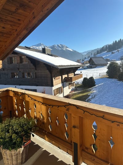 The image depicts a clear winter day in Saanen, Switzerland, viewed from a balcony. In the foreground, a light-brown wooden balcony railing, featuring decorative vertical slats with repeated elongated diamond-shaped cutouts, is strung with a black-wired string of small lights. To the lower left, a beige wicker basket contains a vibrant green potted plant identified by a tag as "SKIMMIA". Direct sunlight illuminates the balcony ledge, casting distinct shadows.
The mid-ground features a prominent traditional Swiss chalet, constructed with dark-stained wooden log siding on its upper levels and a white lower foundation. Its steep roof is covered in a layer of snow, and multiple windows with wooden frames and closed brown shutters are visible. A small wooden balcony extends from its side. To the right, a snow-covered field with visible patches of green grass contains a smaller, dark wooden building with a steeply pitched roof and a simple wooden fence line. Scattered evergreen trees are present in the field.
The background is dominated by majestic snow-capped mountains under a brilliant, cloudless blue sky, with evergreen forests covering their lower slopes and valleys. No individuals or active interactions are discernible within the scene.