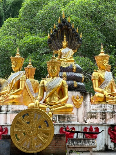 The image displays an outdoor scene featuring multiple golden Buddha statues against a backdrop of dense green foliage. In the center, a large golden Buddha statue is seated upon a dark, multi-coiled serpent body, with seven serpent heads fanning out behind it, forming a canopy. This central Buddha wears a white sash draped over its shoulder. To its left, two additional golden Buddha statues are seated on a white tiered platform, facing slightly towards the left. Each of these Buddhas wears a golden crown and a white and silver sash. One more similar golden Buddha statue is seated to the right of the central figure, also wearing a crown and sash, facing slightly towards the right.

In the lower left foreground, a large, ornate golden Dharma wheel with intricate patterns and colored segments is prominently displayed, leaning against a brick base. Below the statues, a tiered concrete platform shows signs of weathering. Gold Garuda figures are mounted on the platform's vertical surfaces. Further down, at the base of the scene, red mythological figures, possibly Nagas, are visible against a white wall. A black, elongated, boat-like ceremonial object rests on a white, weathered stand in the lower right, positioned in front of the red figures. The entire scene is set against a lush, vibrant green background of trees and bushes, indicative of a natural, possibly mountainous or forested, environment in the city of Chiang Dao, Thailand.