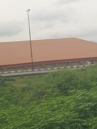 A lamppost stands tall against an overcast sky, positioned in front of a long, reddish-brown building with a metal roof. A road runs along the base of the building, bordered by a sidewalk with alternating white and gray stripes. Two figures are visible on the sidewalk, one pointing towards something out of frame. The foreground is filled with lush, green vegetation.