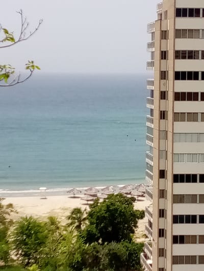 This image depicts a coastal scene in Camurí Grande, Venezuela, with a tall, multi-story building dominating the right side of the frame. The building is light-colored with numerous dark-tinted windows and balconies. In the foreground, lush green trees and foliage obscure the lower portion of the image. Beyond the trees lies a sandy beach, sparsely populated with numerous straw umbrellas. The ocean, a vibrant turquoise, stretches out to the horizon, meeting a hazy sky. A small white structure, possibly a beach umbrella or cabana, is visible on the sand. The image appears to be captured during daylight.