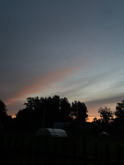 The image captures a dusky sky with hues of gray, white, and a faint blush of orange from a setting sun. Silhouetted trees form a dark, dense line along the right side of the frame, partially obscuring some dome-shaped structures and a fence. The sky is the dominant subject, with wispy clouds stretching horizontally. The overall mood is serene and contemplative, suggesting an evening in a rural or semi-rural setting. The low light conditions create a sense of peaceful transition from day to night. There is no visible text in the image. The location is identified as Dubrovino, Russia.