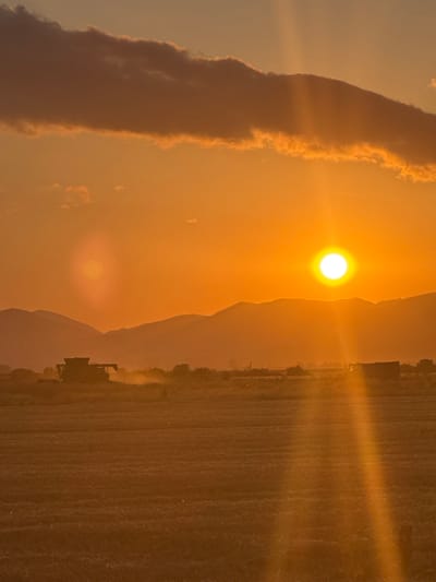 This is a photograph taken vertically during sunset in Blatets, Bulgaria. The sun, a bright orb with a visible lens flare, is positioned in the upper center of the frame, casting a warm, golden light across the landscape. A tall, dark cloud stretches vertically along the left side of the image, its edges illuminated by the setting sun. In the distance, a silhouette of mountains is visible, softened by the haze of sunset.
The right side of the image features a field, possibly a harvested crop, with visible rows. A dark, indistinct object, likely agricultural machinery such as a tractor, is operating in the field, kicking up a visible dust cloud. The overall mood is serene and captures the end of a day's work in a rural setting. The time of day is clearly sunset due to the low angle of the sun and the warm, diffused light. The weather appears clear with some cloud cover and atmospheric haze. There is no visible text in the image.