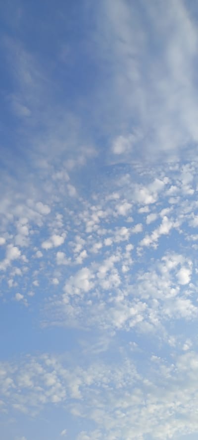 The image depicts a vast expanse of a clear blue sky filled with scattered, fluffy white clouds. The clouds are small and rounded, appearing to be arranged in a somewhat patterned manner across the frame. There are some wispy, thin clouds higher in the sky, particularly towards the top of the image, which create a sense of depth and texture. The lighting suggests it is daytime, with the sun likely out of frame, illuminating the clouds from above. The perspective is looking upwards, giving the viewer a sense of immersion in the sky. The scene is entirely natural, with no man-made structures or living beings visible. The environment is solely the sky.