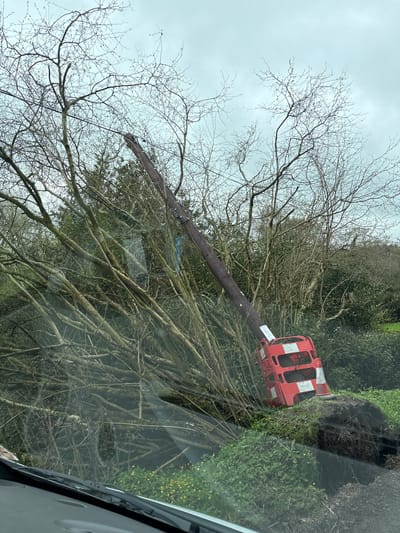 The scene depicts a damaged utility pole in a rural area, presumably near Pulverbatch, United Kingdom, based on the query. The pole is visibly cracked and leaning, with a red and white safety barrier affixed to its top. It is surrounded by bare trees and foliage. The photograph appears to have been taken from inside a vehicle, with a portion of the car's interior visible. The sky is overcast. The overall impression is one of a fallen utility pole after a storm.