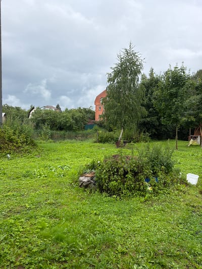 The image depicts a rural or suburban backyard in Памяти Революции 1905 Снт, Russia. The scene is dominated by lush, green grass and dense foliage. In the foreground, a pile of organic matter, possibly compost or debris, is visible, covered with a tarp. To the right of this pile, a white plastic bucket sits on the grass. In the mid-ground, there is a stand of thick green bushes and trees. A single birch tree with a distinctive white trunk stands prominently in the middle ground, to the left of center. Behind the vegetation, a tall, red brick building, likely a multi-story house or apartment block, is partially visible. Further back, other houses and structures with pitched roofs are nestled amongst trees. The sky is overcast and cloudy, suggesting a potentially rainy or gloomy day. A grey pole, possibly a utility pole, is present on the far left edge of the frame. There are no people visible in the image.
