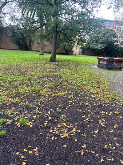 In Brunswick East, Australia, a park scene unfolds under a cloudy sky. The foreground is dominated by dark soil scattered with fallen yellow leaves, with patches of green grass pushing through. A brick structure, possibly a barbecue or seating area, sits on the right side of the image, its top edged in red. Beyond this, a well-maintained green lawn extends, dotted with more fallen leaves. Mature trees, including a palm tree and a deciduous tree with a thick trunk, provide shade. In the background, a brick wall borders the park, and beyond that, a modern building with orange and grey accents rises, suggesting an urban environment. The overall impression is a quiet, slightly damp autumn day in a community park.