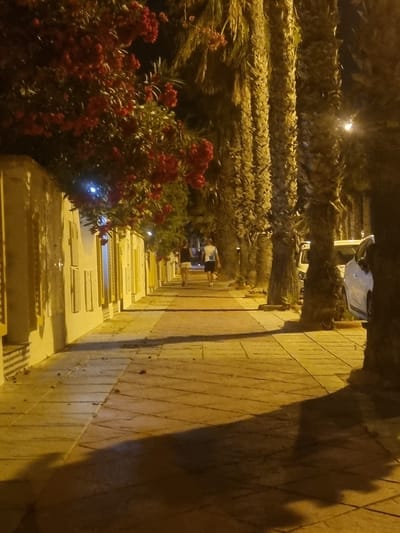The image depicts a sidewalk in Aguamarina-sector A1, Spain, at night. A row of palm trees lines the right side of the sidewalk, casting shadows. To the left, a wall with several doors or windows is visible, with flowering bushes with red blooms overhead. Two individuals are walking away from the camera on the sidewalk. The person in the foreground is wearing a white t-shirt with a number "10" on the back and dark shorts. The person behind them is wearing a dark shirt and light-colored shorts. A white car is parked on the street beyond the palm trees. The sidewalk is paved with rectangular tiles.