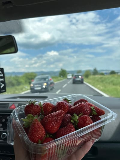 A close-up shot taken from inside a vehicle shows a clear plastic container filled with fresh, ripe strawberries. The container is held in someone's hand, positioned in the foreground of the image. Through the vehicle's window, a blurry landscape is visible, featuring a road with moving cars, green fields, and a sky with scattered clouds. The location appears to be Dolna Banya, Bulgaria, although this is based on contextual information and not directly discernible from the image alone.