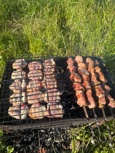 The image shows a close-up, high-angle view of a barbecue grill outdoors. On the left side of the grill, there are several pieces of meat wrapped in bacon and some appear to have cheese and a small piece of red pepper inserted. They are arranged in rows on a black metal grill grate. On the right side of the grill, skewers of seasoned meat are cooking over charcoal. The meat is cut into bite-sized pieces and is visibly browning. The grill itself is a dark, rectangular metal structure, and below it, visible embers and ash can be seen. The background is dominated by tall green grass and some dried vegetation, suggesting a rural or natural setting. The lighting indicates it is daytime, likely sunny, casting shadows. There are no people or buildings visible in the frame. The location is identified as Babinitski Sel'ski Savet, Belarus.