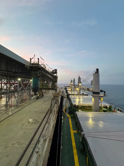 The image shows a view from the deck of a large cargo ship docked alongside a port facility. The sky is a pale blue with hints of pink and orange from either sunrise or sunset. On the left, a massive industrial loading system, likely a shiploader, is positioned over the deck of the ship. This structure is made of metal beams, conveyors, and hoppers, with lights illuminating parts of it. The port's concrete surface appears wet, reflecting the lights. On the right, the ship's deck is visible, featuring multiple cranes and hatches. The deck is painted green with yellow lines marking pathways. The ocean stretches out to the horizon on the far right. The scene depicts a moment of loading or unloading operations at the Port of Mers El Hadjadj, Algeria. There are no people visible in the image.