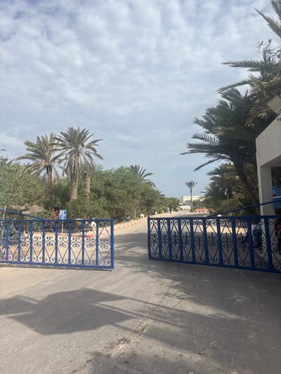 A wide-angle, eye-level exterior shot captures an open, ornate blue metal gate leading into a paved area. Palm trees and dense green foliage dominate the background, with a partially visible white building on the far right. The sky above is cloudy and grey. The scene appears to be in Taguermess, Tunisia, indicated by a sign with the word "mediar" visible in the distance, possibly a resort or hotel name. A blue sign with a white 'P' and a bicycle symbol is affixed to a pole on the left side of the path. The ground is asphalt, with shadows from the gate and foliage cast across it. A white motorcycle and a person in dark clothing are visible beyond the gate on the right side of the paved area.