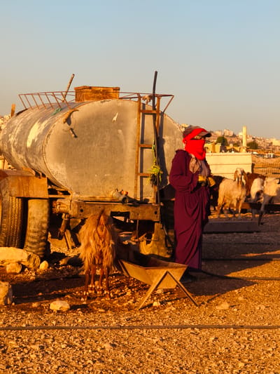 In Keidar, Palestinian Territories, a person wearing a dark purple robe, a red headscarf, and yellow gloves stands next to a large, weathered metal water tank on a truck. The person is partially obscured by a goat with shaggy, light brown fur. Behind them, several goats are visible, some in a pen. The ground is covered in gravel and rocks. In the background, buildings are scattered across a hillside. The scene is illuminated by the warm light of what appears to be sunset or sunrise.