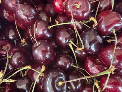 This media file is a close-up, overhead shot of a pile of ripe cherries. The cherries are a deep, glossy red with some variations in color from dark maroon to a brighter red. Many of the cherries still have their stems attached, which are green and thin. The texture of the cherries appears smooth and plump. The lighting suggests an indoor setting, possibly a kitchen or market, as there are no strong shadows or indications of natural daylight. The overall impression is one of freshness and abundance. There is no visible text. The context of Novara, Italy, suggests these are likely locally grown cherries.