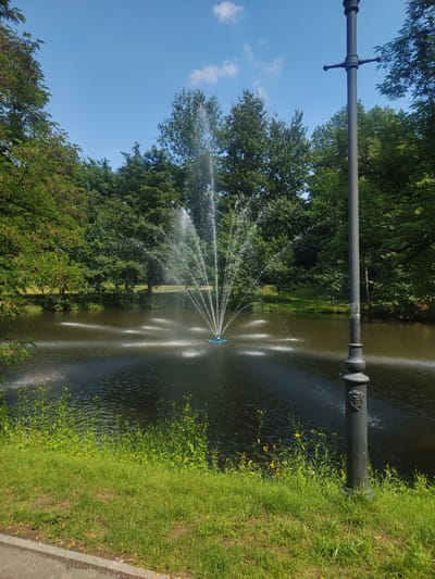 This media file depicts a serene outdoor scene in Wieliczka, Poland. The main subjects include a tranquil pond with an active fountain at its center, surrounded by lush green trees. The fountain is spraying water upwards and outwards, creating a dynamic visual element against the calm water. Several smaller sprays of water are also visible on the surface of the pond, emanating from different points.
In the foreground, there is a well-maintained grassy area with some wildflowers, leading towards the edge of the pond. To the right of the frame, a dark-colored lamppost stands tall, adding a touch of urban or park infrastructure to the natural setting. The lamppost has a decorative base and a crest or emblem visible on its shaft. In the background, behind the pond and trees, the sky is a clear blue with a few scattered white clouds, suggesting fair weather. The overall impression is one of a peaceful park or garden on a bright, sunny day. The time of day appears to be daytime, likely midday or early afternoon, given the brightness and the clear blue sky. There is no discernible text visible in the image. The scene evokes a sense of calm and natural beauty, typical of a pleasant day spent outdoors.