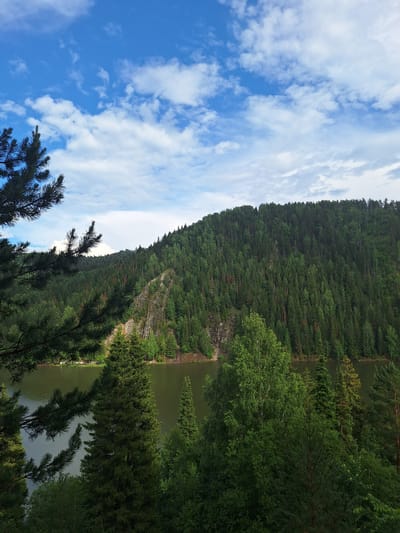 The image depicts a scenic view of a forested mountain and a body of water, likely the Usinskoye Reservoir, near the city of Sim, Russia. In the foreground, pine trees with dark green needles frame the left side of the shot, with some branches extending into the frame. The middle ground is dominated by the tranquil, greenish-brown water of the reservoir. Beyond the water, a steep, verdant mountain rises, covered in a dense forest of various shades of green trees. A rocky outcrop is visible on the side of the mountain. The sky above is a vibrant blue, dotted with fluffy white clouds. The overall impression is one of natural beauty and tranquility. There are no people or man-made structures visible in this landscape.