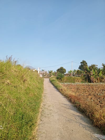 A pathway made of concrete leads into the distance through a rural landscape under a clear blue sky. The pathway is flanked on the left by tall, lush green grass and on the right by a cultivated field with dry, brown soil and some dry vegetation. In the background, there are several trees, including what appear to be banana trees, and some buildings, including a structure with a white roof and glass walls. A utility pole with wires is also visible. The scene is bathed in sunlight, casting shadows on the pathway. The location is identified as Yakkurugala, Sri Lanka.