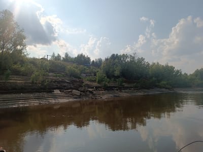 The image depicts a wide, muddy river flowing through a natural landscape with a dense, green treeline along the bank. The river is calm, with reflections of the sky and trees visible on its surface. The riverbank is steep and eroded, showing layers of sediment and debris. Trees and bushes grow abundantly on the bank and further inland, forming a thick canopy. The sky is partly cloudy, with bright sunlight breaking through the clouds, casting rays onto the scene. In the distance, on the elevated bank, some man-made structures and debris are visible, suggesting human activity or remnants of past settlements. The scene appears to be a natural, undeveloped area, possibly on the outskirts of Alexandrovskoe, Russia, given the context.