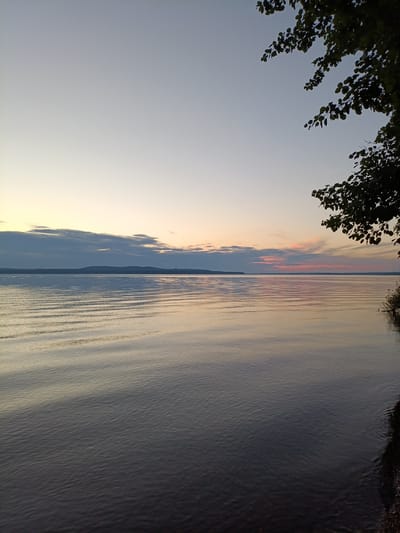 A wide shot captures a serene lake at dusk in the city of Gory, Russia. The sky transitions from a pale, clear blue at the top to soft hues of yellow and pink near the horizon, where a band of muted clouds is visible. The water, a deep, reflective gray, is marked by gentle ripples that catch the fading light, creating a shimmering effect. In the distance, a low, dark landmass, likely a forested island or the opposite shore, is silhouetted against the colorful sky. The right edge of the frame is partially obscured by the dark, leafy branches of a tree, its silhouette stark against the twilight sky. The scene is tranquil and devoid of human presence, emphasizing the natural beauty of the landscape.