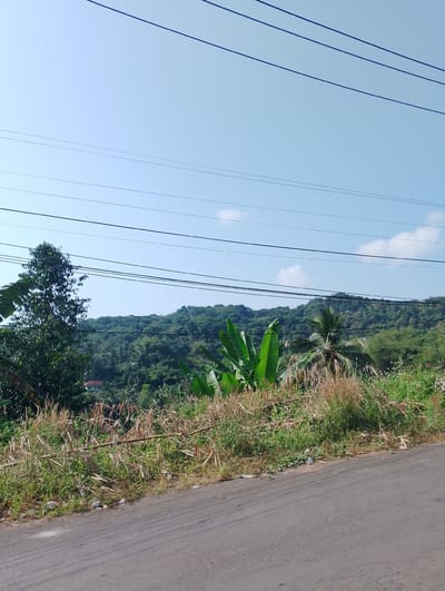The image depicts a roadside view with a lush, green hillside in the background under a clear blue sky. Overhead power lines stretch across the frame. The foreground shows a paved road with dry grass and vegetation growing along its edge, interspersed with some debris. A single house with a red roof is partially visible nestled within the trees on the hillside. This scene is characteristic of the scenic, hilly areas surrounding Kuningan, Indonesia, where such views of verdant landscapes and power lines are common.
