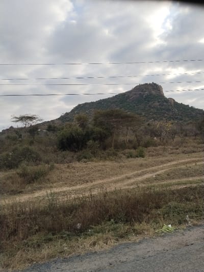 The image displays an expansive outdoor scene in Kinanie ward, Kenya, dominated by a prominent hill under an overcast sky. In the immediate foreground, the bottom right quadrant features a gravel and dirt road, diagonally crossing the frame. Adjacent to the road, a strip of dry, light brown grass and weeds with some patches of green vegetation is visible. A crumpled light green object, possibly plastic or fabric, rests on the ground amidst this vegetation near the road's edge.

Beyond the immediate foreground, a flat, arid-appearing field stretches towards the midground, characterized by light brown, dry grass and faint, parallel dirt tracks indicative of vehicle passage. This field is dotted with sparse, scrubby bushes and small trees with mostly brown or thinly green foliage.

The background is dominated by a large, conical hill or small mountain, its slopes covered in a mixture of dense green vegetation and numerous exposed, light brown rocky formations. The peak of the hill features more pronounced rock outcrops. Four dark, thin power lines traverse horizontally across the upper-mid section of the image, partially obscuring the hill and the sky. The sky above is largely covered by diffuse, grey-white clouds, indicating an overcast condition with soft, ambient lighting. No human figures or discernible structures are present beyond the power lines and the road.